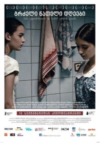 豆蔻年华 poster