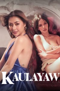网恋蜜友 poster
