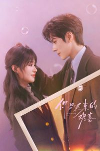 你是迟来的欢喜 poster