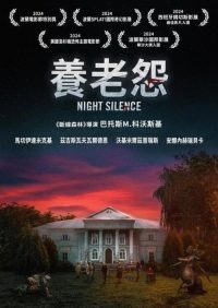 寂静之夜 poster