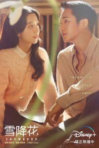 雪滴花 poster
