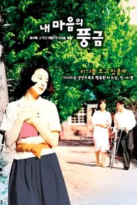 记忆中的风琴 poster