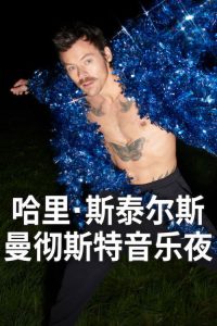 哈里·斯泰尔斯：曼彻斯特音乐夜 poster