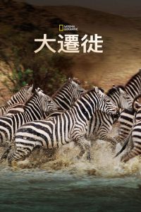 国家地理：大迁徙 poster