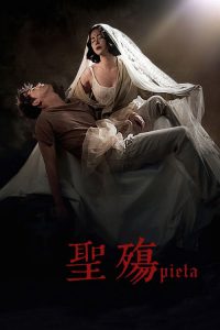 圣殇 poster
