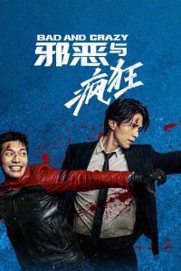 邪恶与疯狂 poster