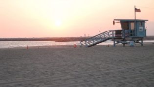 Son of the Beach photo
