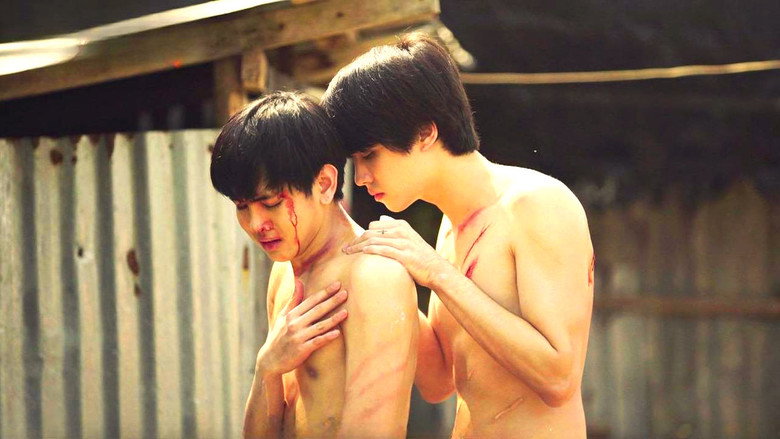 玩坏男孩 photo