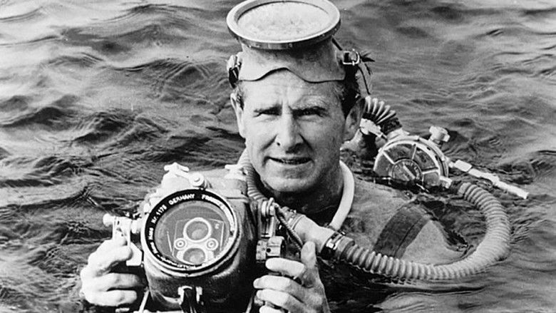 Sea Hunt photo