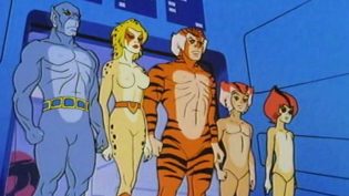 霹雳猫 photo