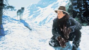 雪地黄金犬 photo