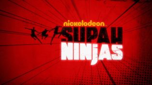 Supah Ninjas photo
