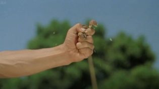 醉拳 photo