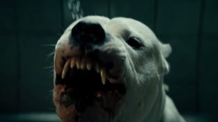 犬舍惊魂 photo