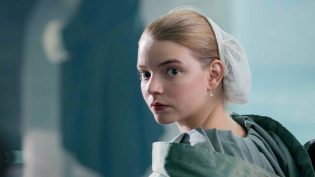 The Miniaturist photo