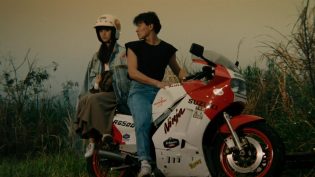 天若有情 photo