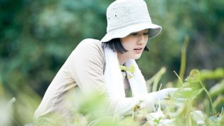 小森林：夏秋篇 photo