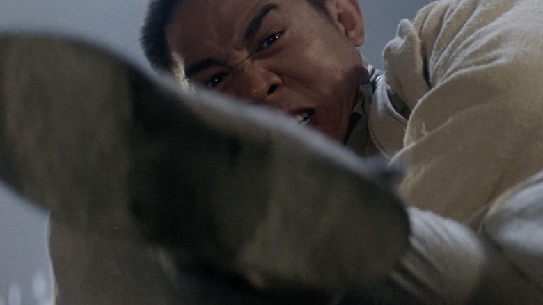 冒险王 photo