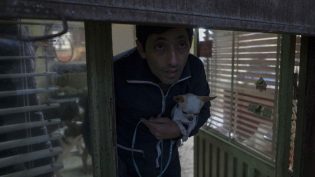 犬舍惊魂 photo