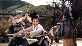 金燕子 photo