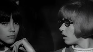 男性，女性 photo