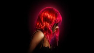 怪栗情人 photo