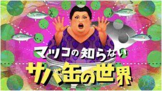 松子所不知道的世界 photo