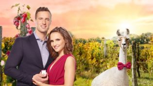 Valentine in the Vineyard photo
