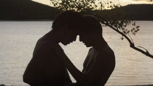 湖畔的陌生人 photo