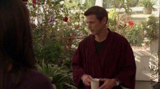 The Good Witch's Garden photo