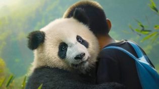 熊猫月亮 photo