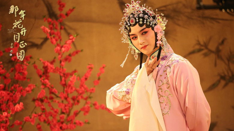 那年花开月正圆 photo
