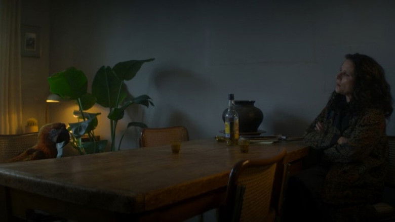 星期二 photo