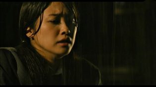白百合 photo