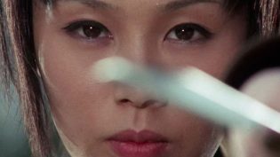 带子雄狼6：雪原生死道 photo