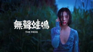 无声蛙鸣 photo