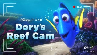 Dory's Reef Cam photo