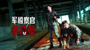 军检察官多伯曼犬 photo