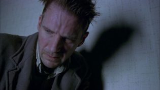 蜘蛛梦魇 photo