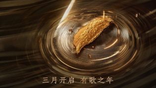 声生不息 photo