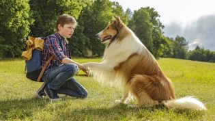 Lassie-冒险之旅 photo