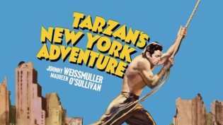 Tarzan's New York Adventure photo