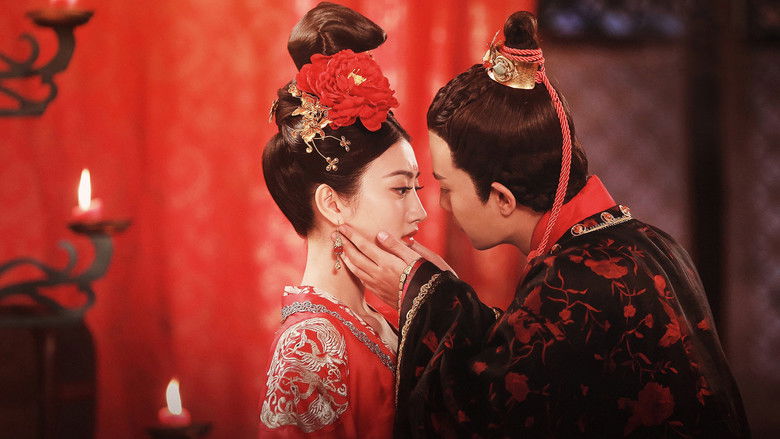 大唐荣耀 photo