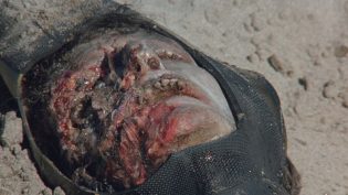 Cruel Jaws photo