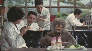 科学怪人的怪兽 山达对盖拉 photo