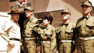 Gomer Pyle, U.S.M.C. photo