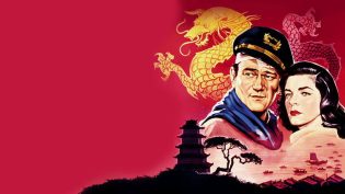 血巷 photo