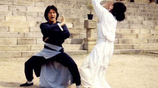 龙拳 photo