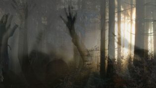 Paranormal Survivor photo