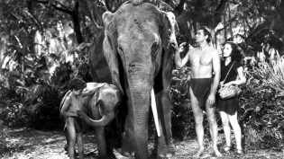 Tarzan Finds a Son! photo